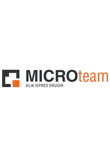 Micro Team